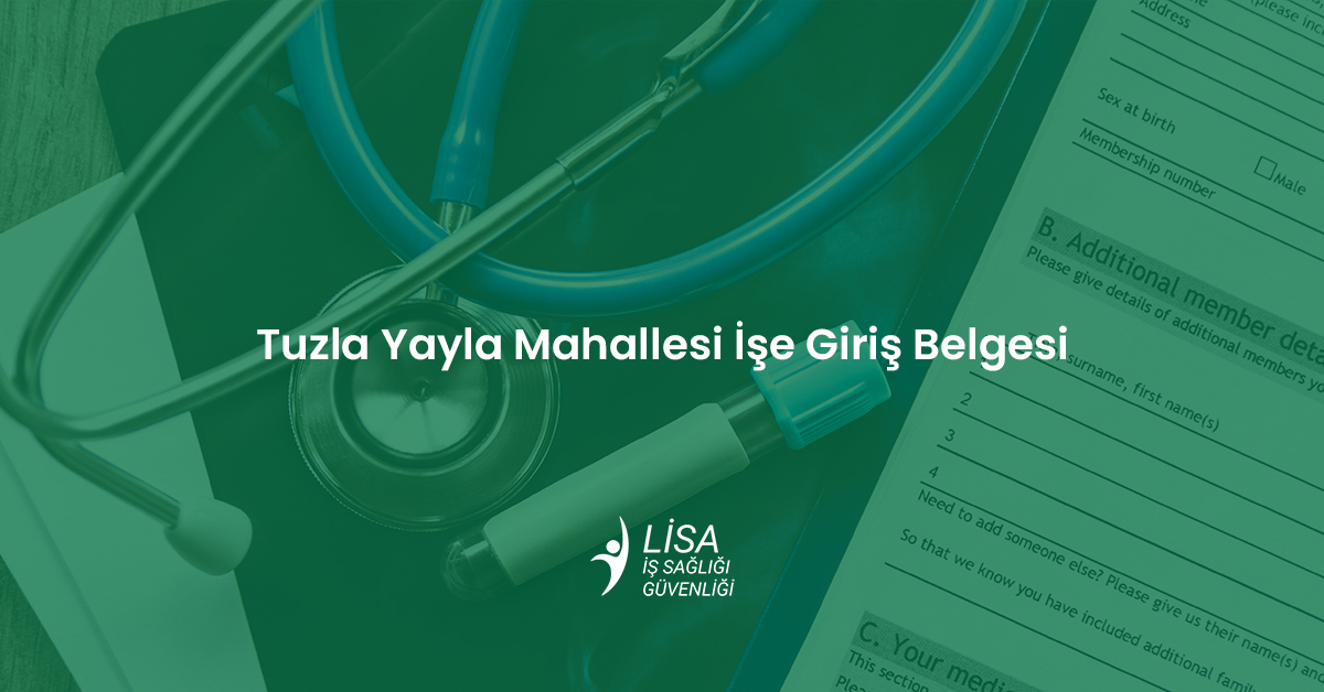 Tuzla Yayla Mahallesi işe giriş belgesi ve iş sağlığı güvenliği sağlık raporu formu